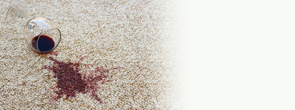 stain removal carpet cleaning 